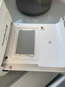 QS5 CHARIOT 384
