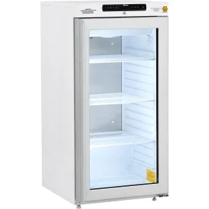 Réfrigérateur IIRR310LG11
