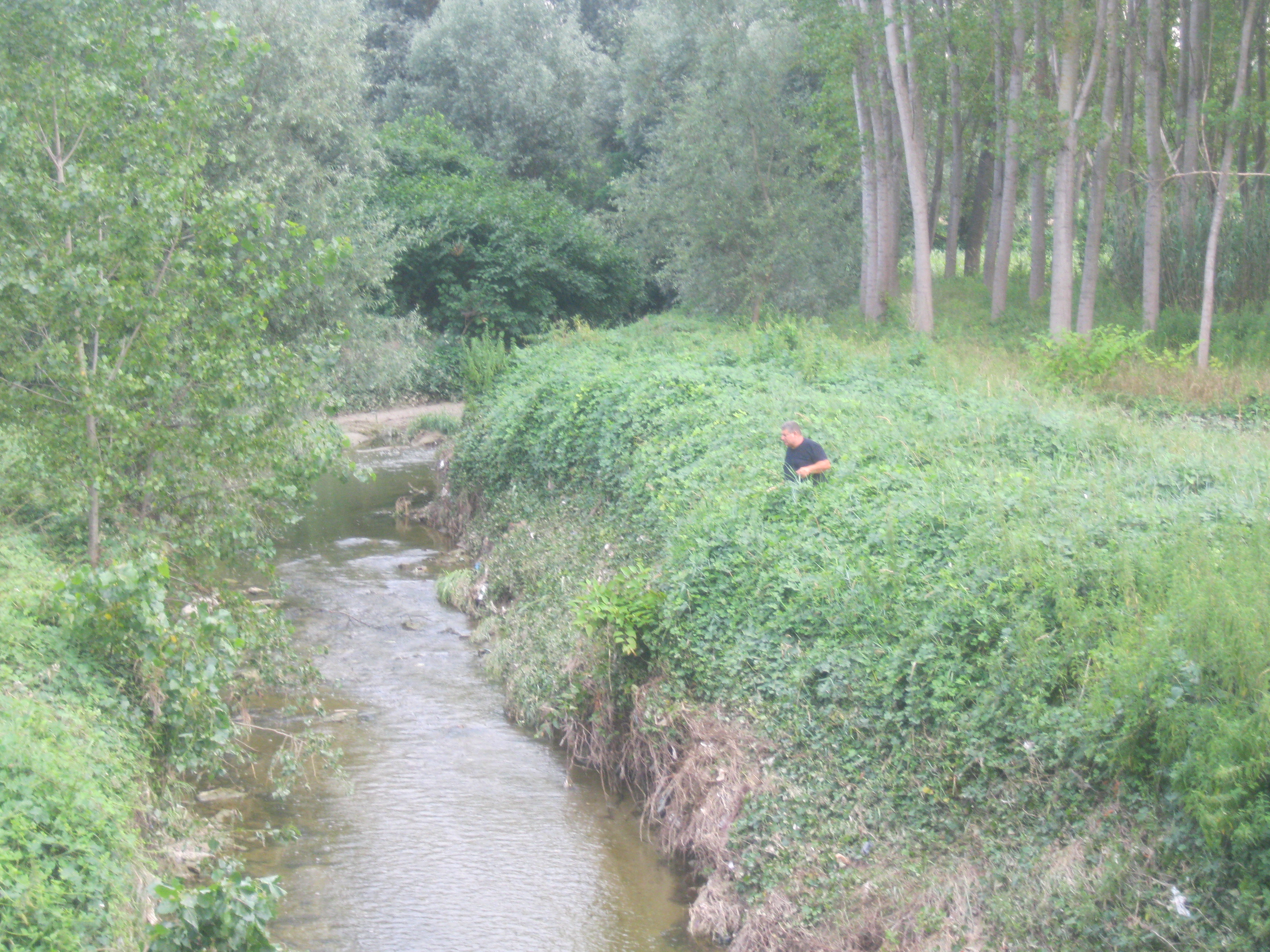 Allegato 9
