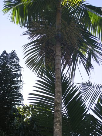 Allegato 4