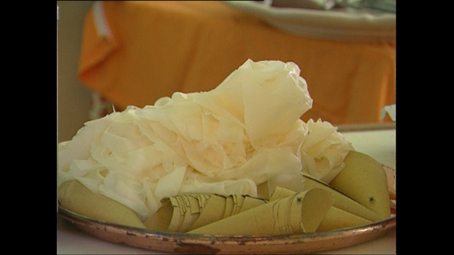 Allegato 1