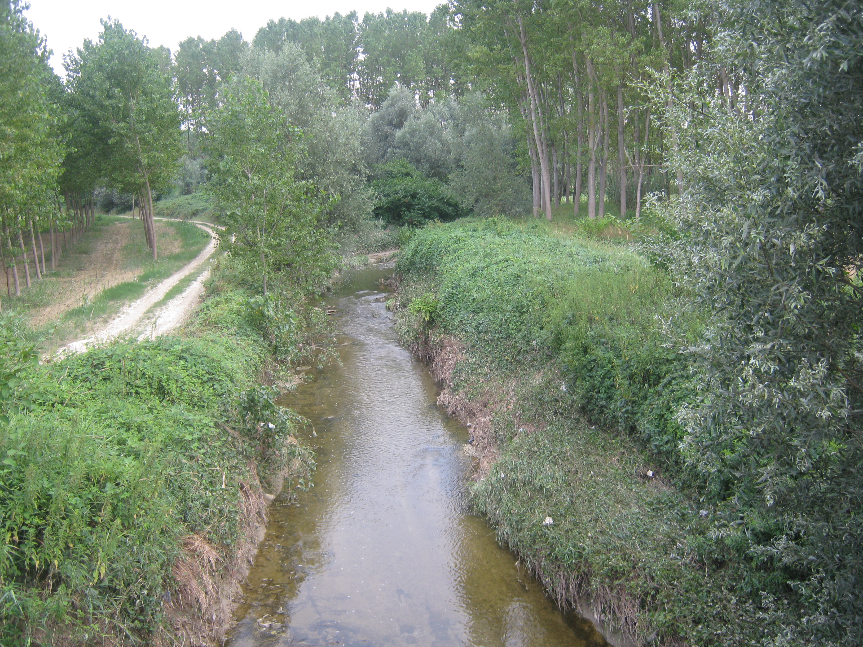 Allegato 7