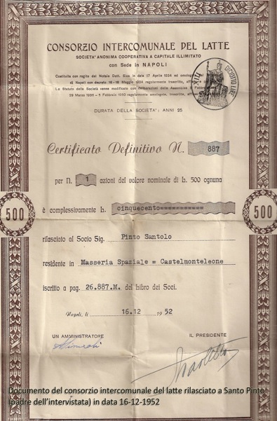 Allegato 1