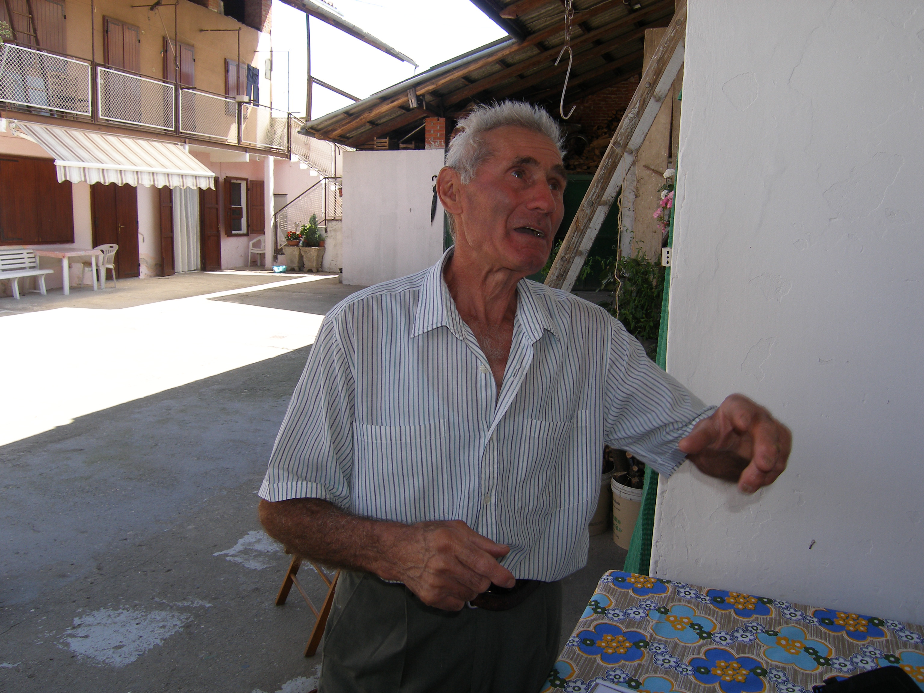 Allegato 1
