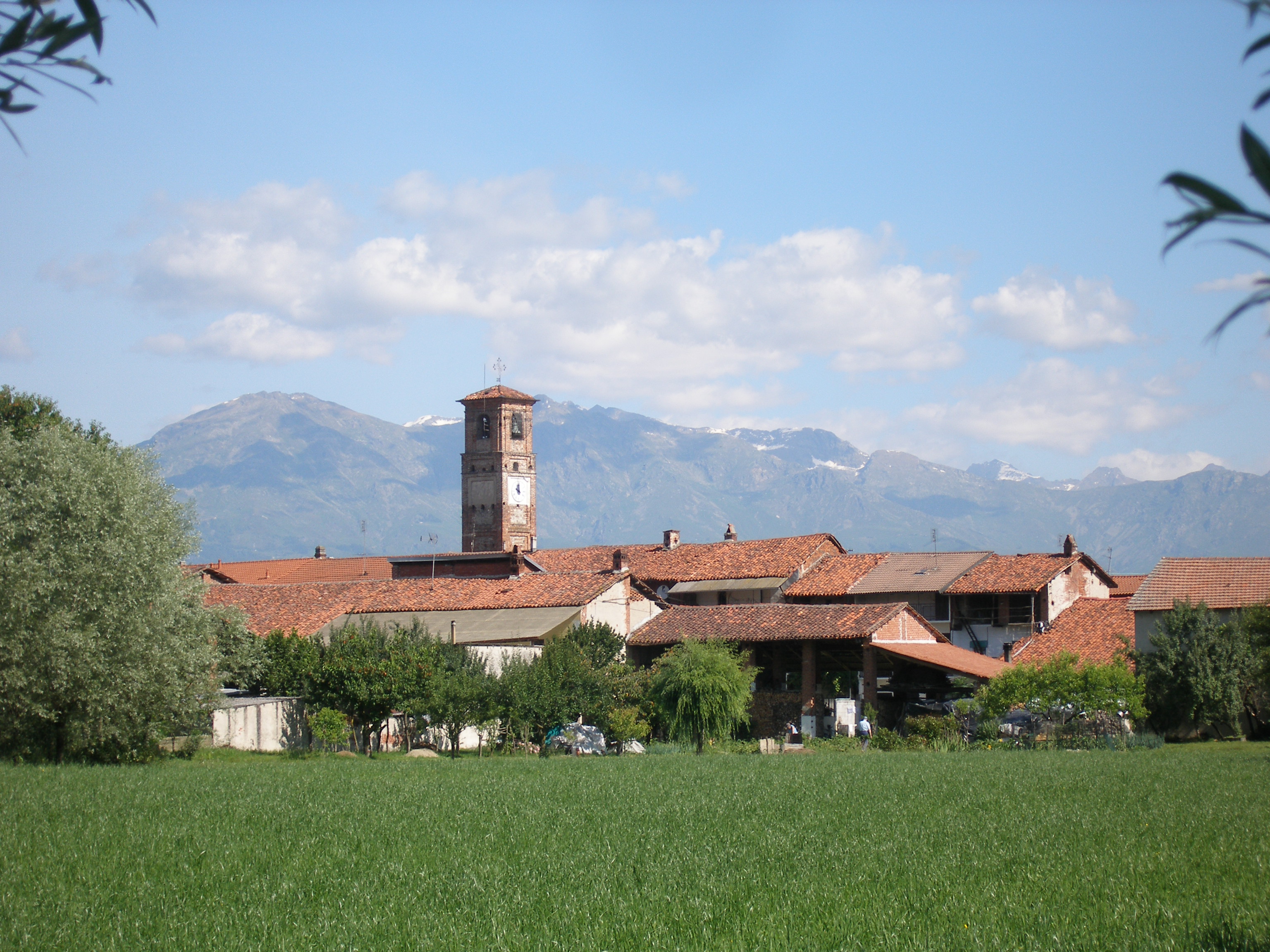Allegato 1