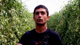 Luca Borgogno