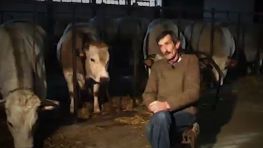 La fiera del bue grasso