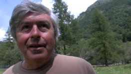 Valter Pippinato