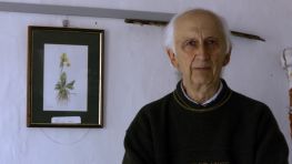 Bruno Biava 
