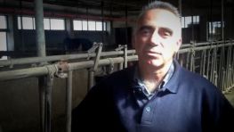 Giorgio Ferrighetto