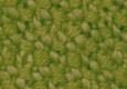KL153