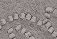 B03