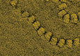 H02