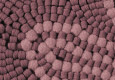 C06