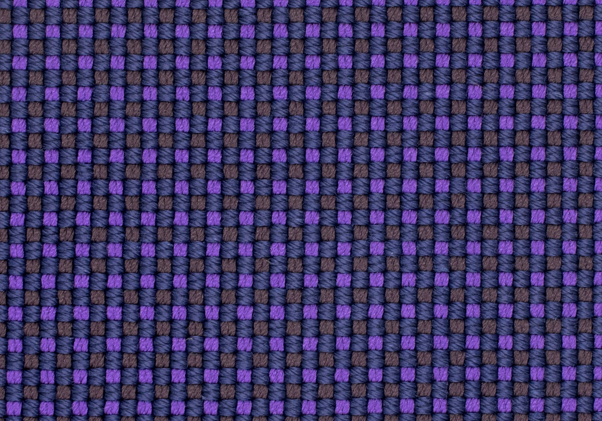 BT066716