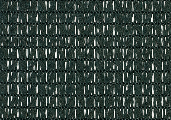 TH25