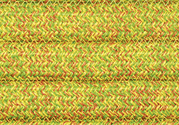 CS79