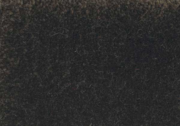 C09/350