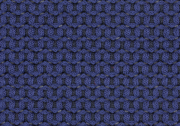 TN29