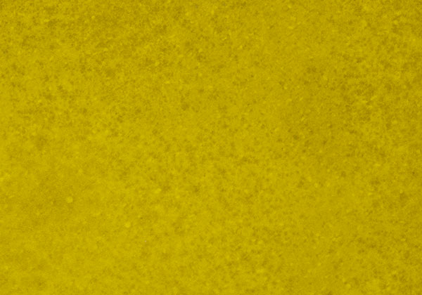 LVS523