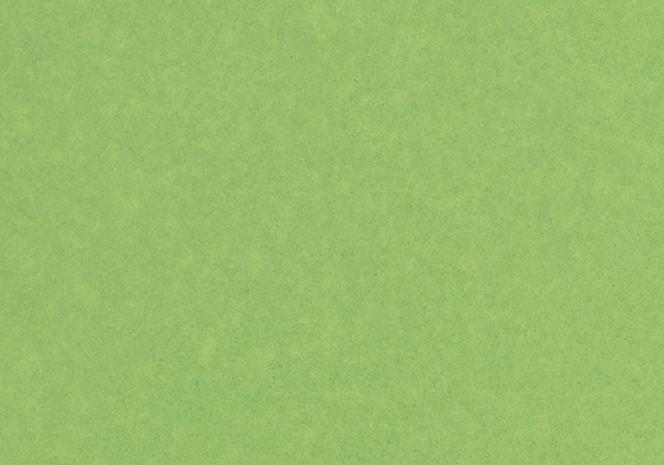 LVS653