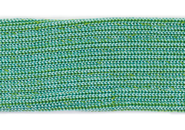 CPE859028