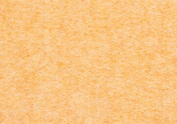 FC232