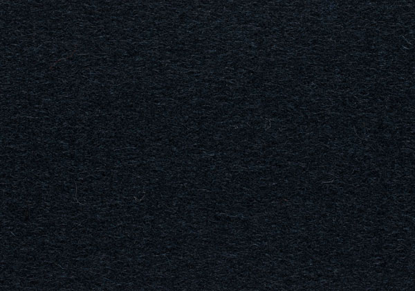 FE099