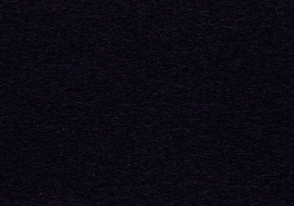 FE145