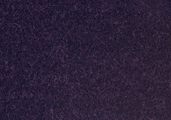 BOL013