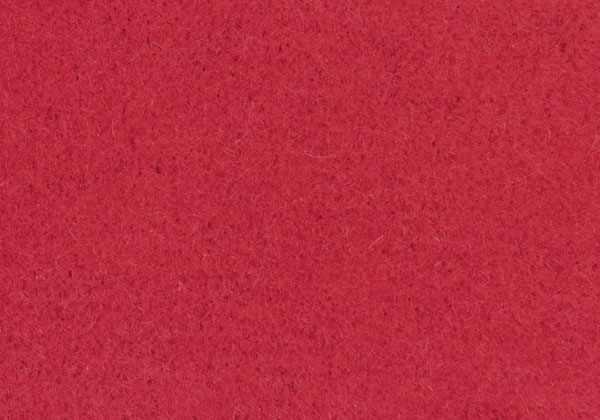 BOL020
