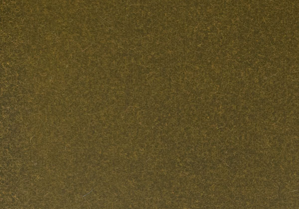 MED011