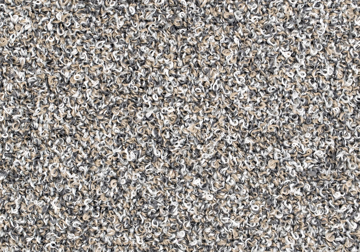 MS004