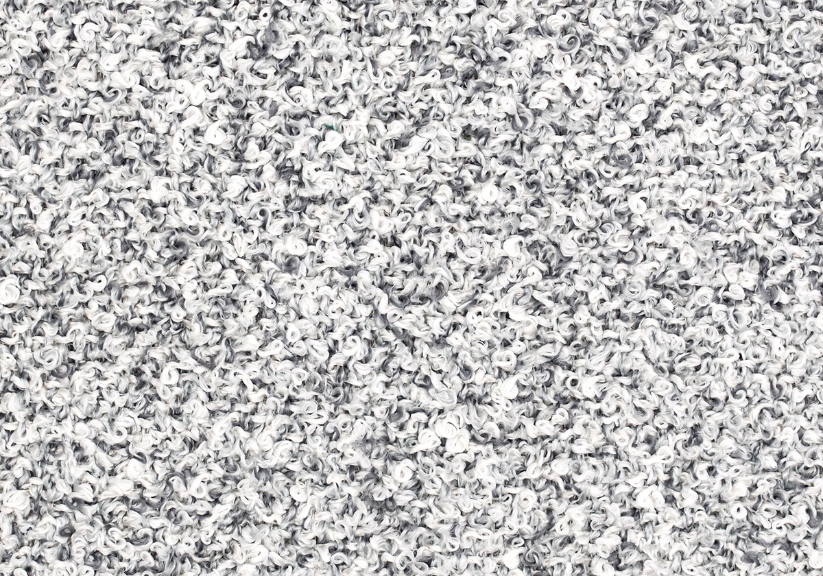 MS008