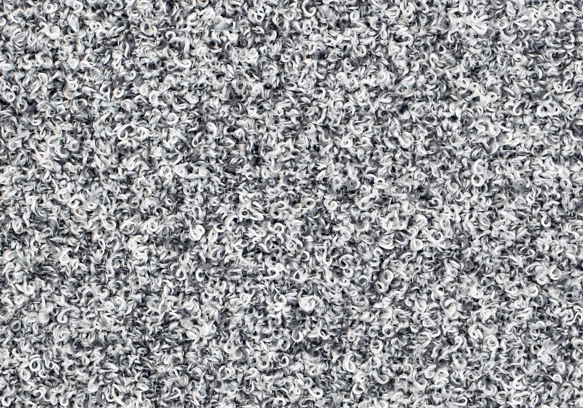 MS009