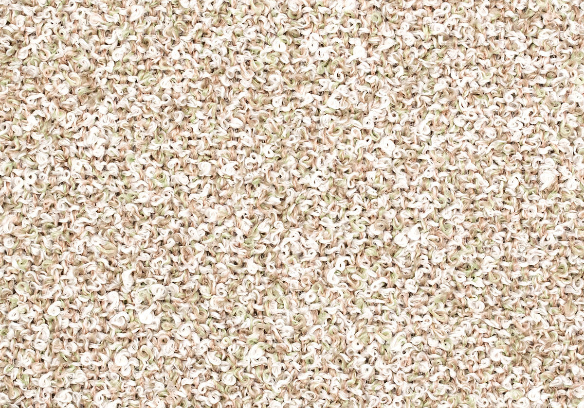 MS010
