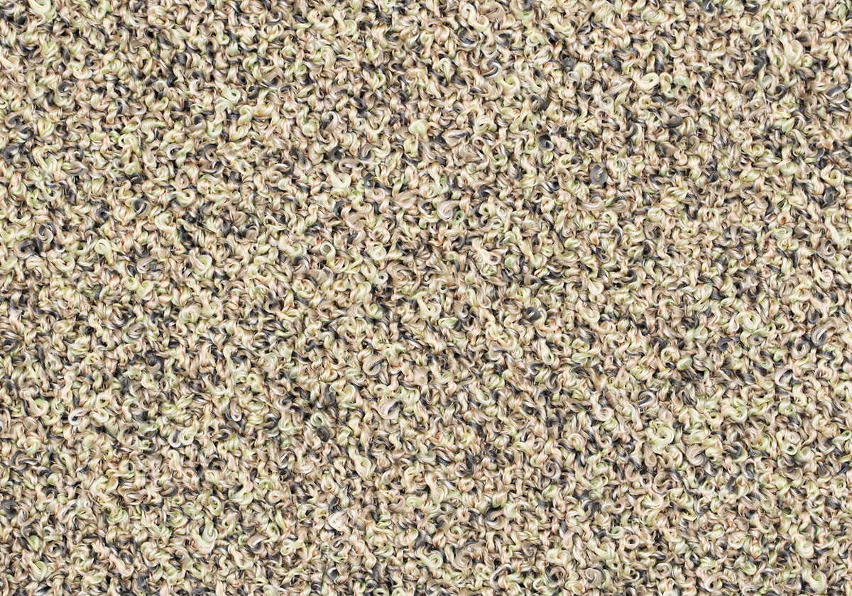 MS013