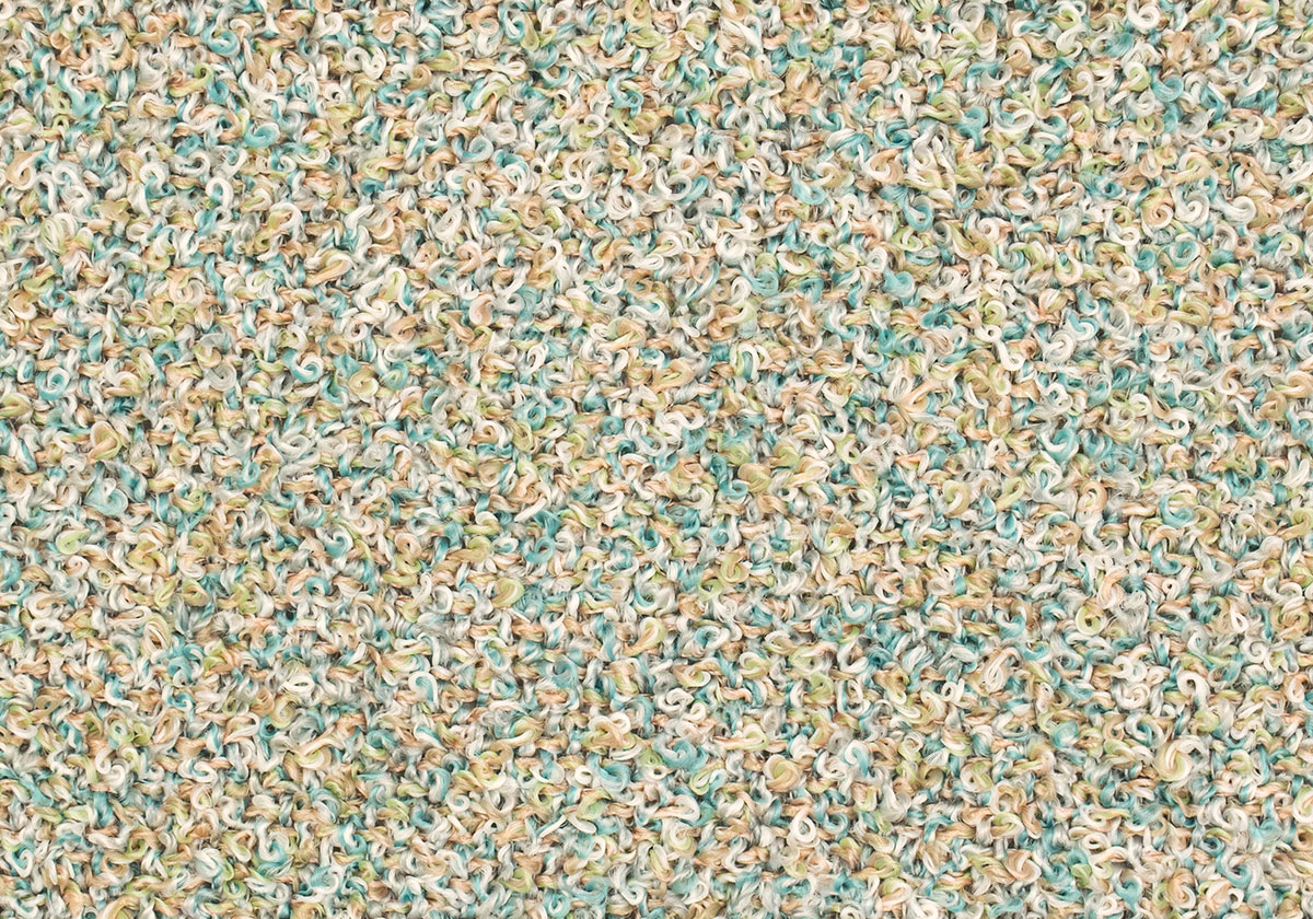 MS019