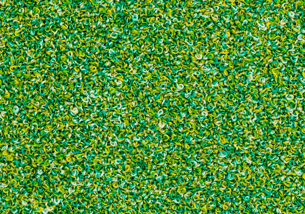 MS036