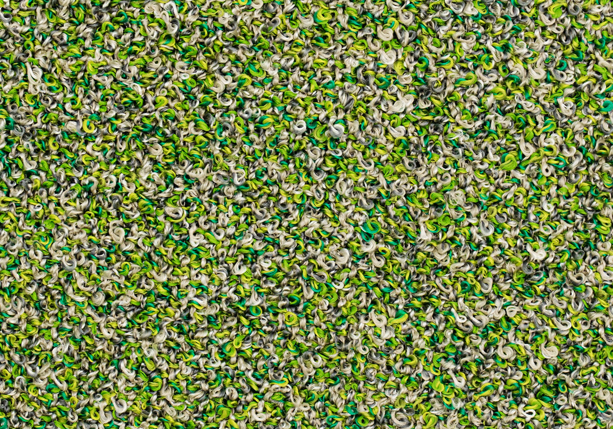 MS037