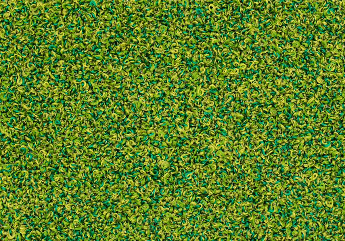 MS038
