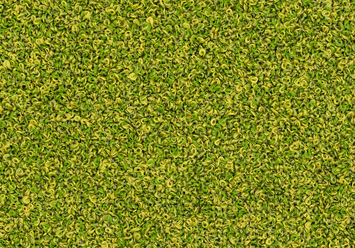 MS039