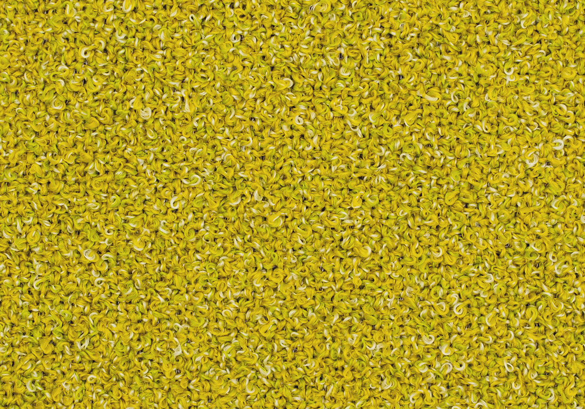 MS043
