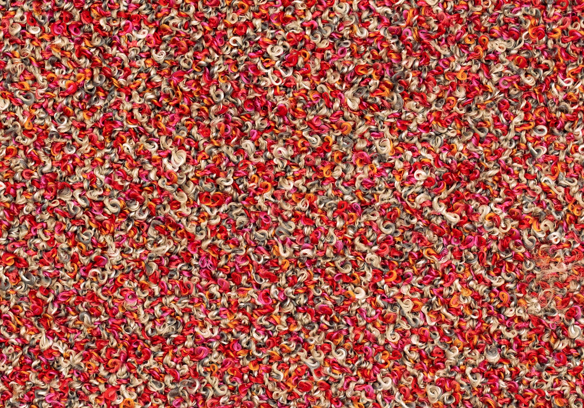 MS081