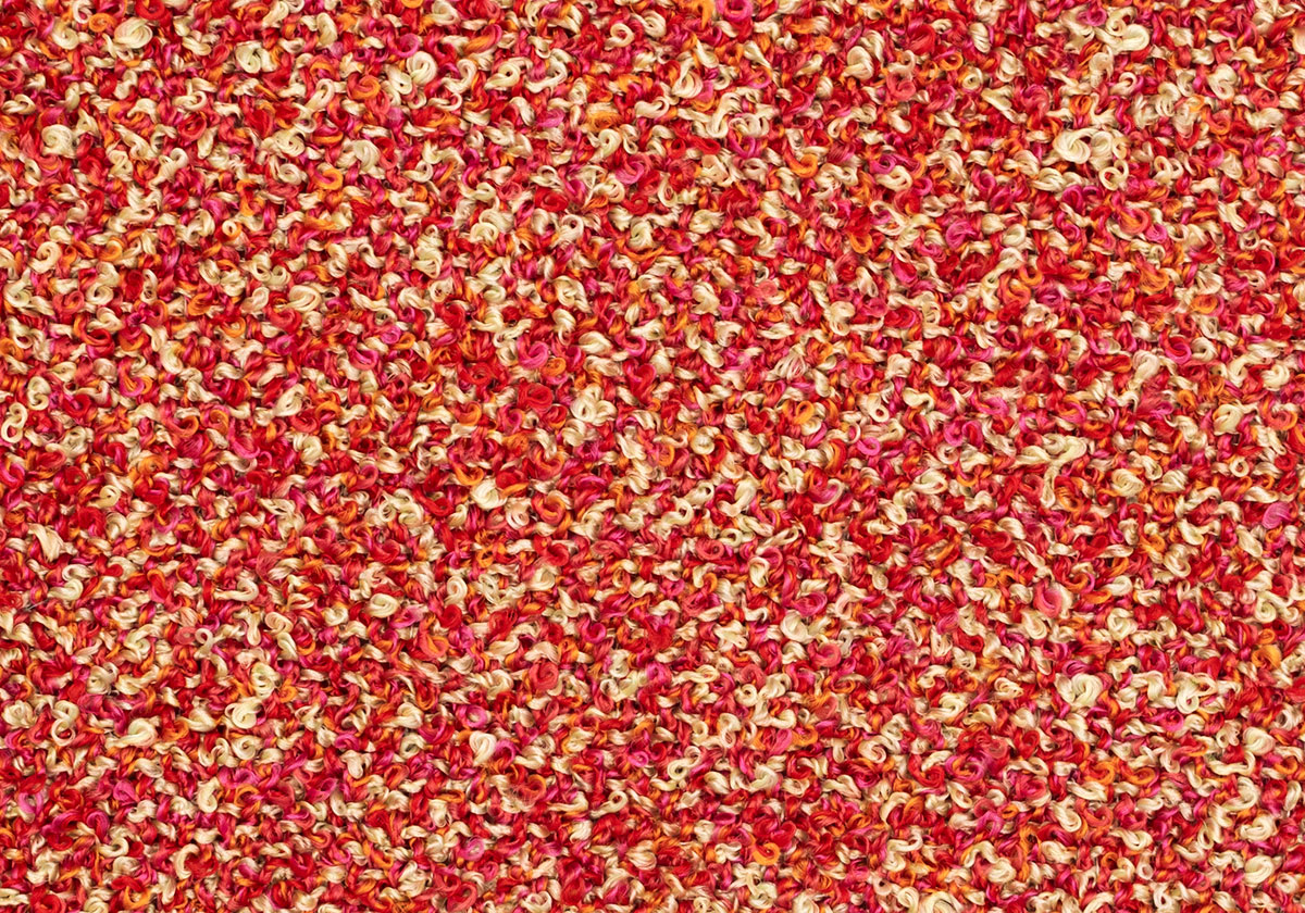 MS084