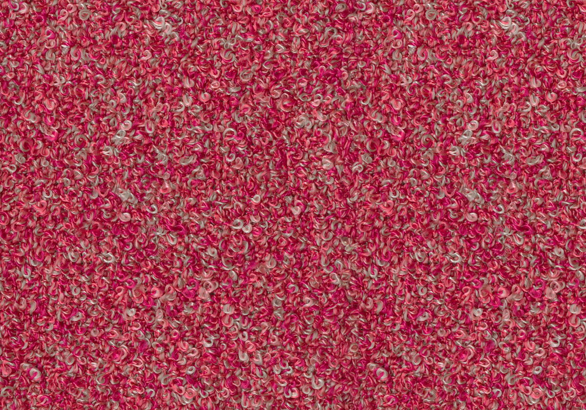 MS077