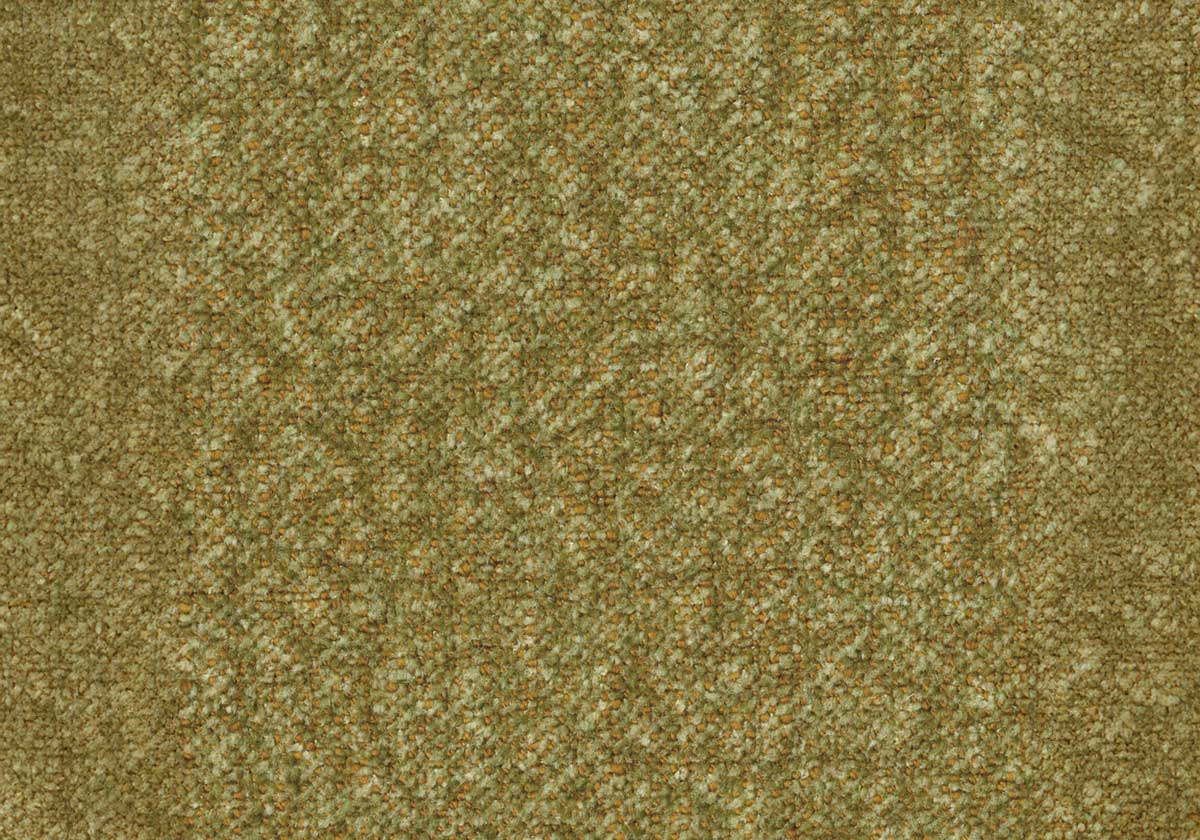NUV008
