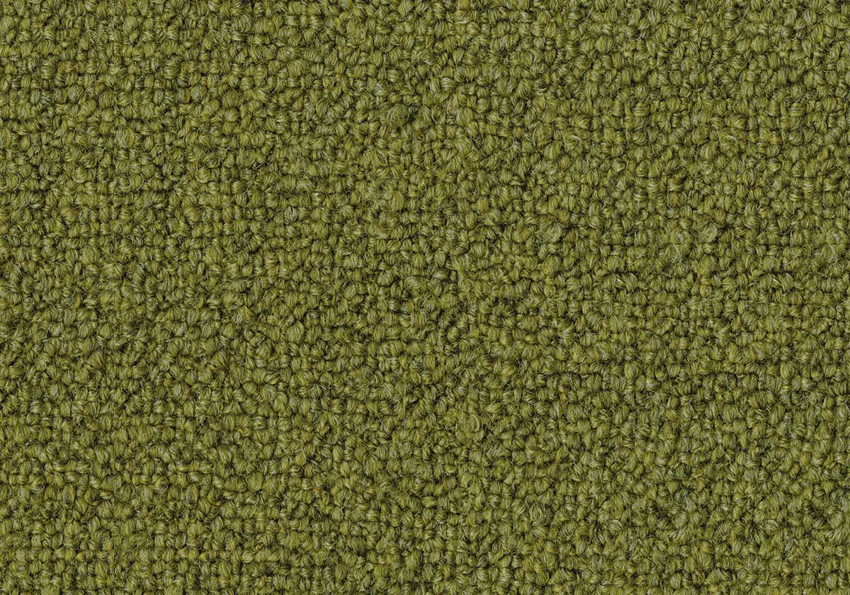 SBR0016