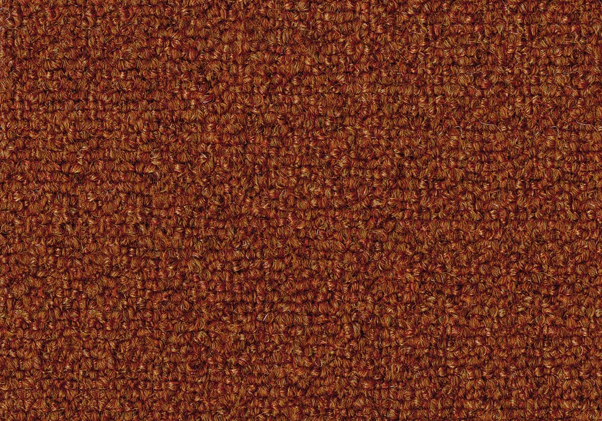 SBR0020