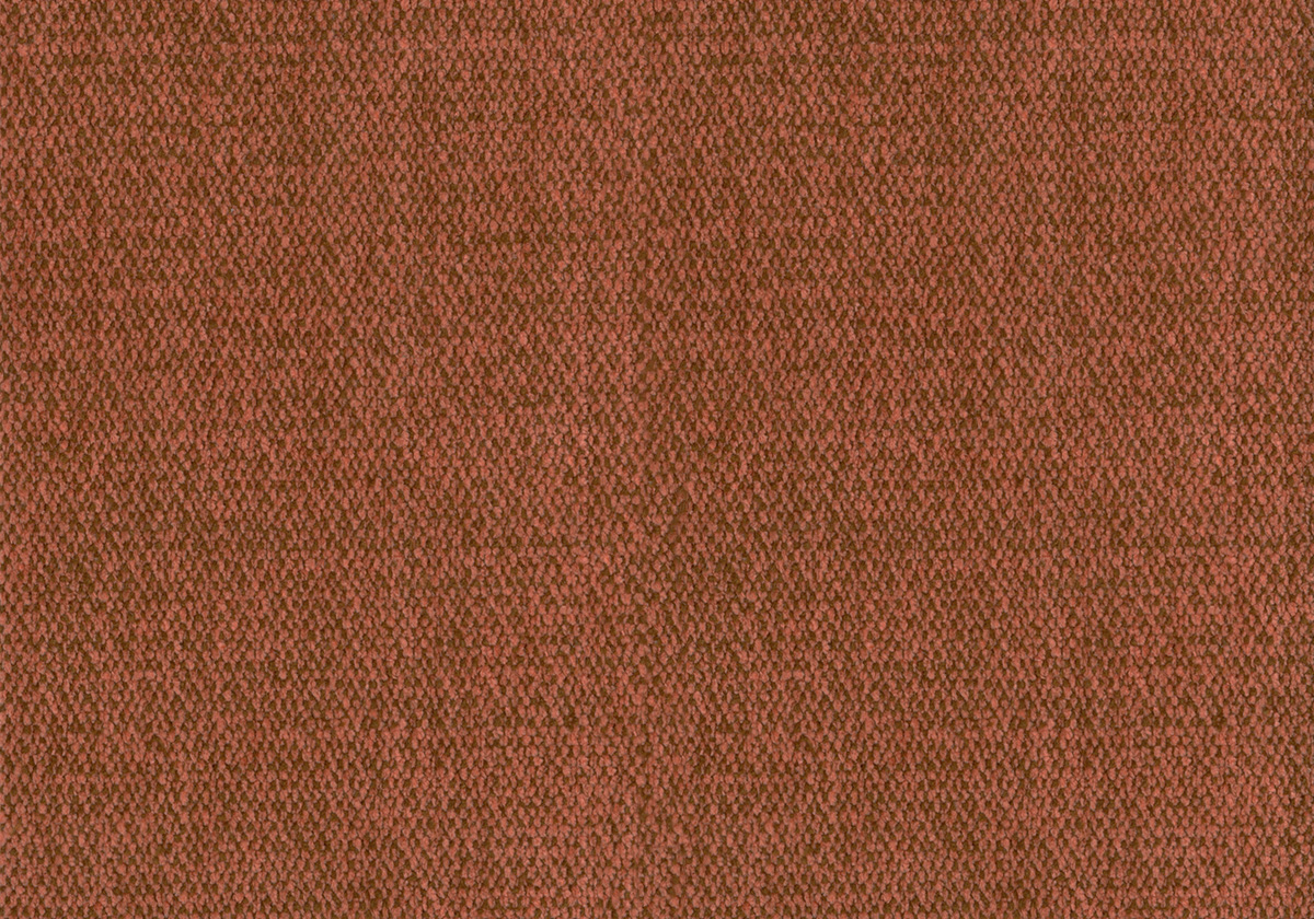 SNN107